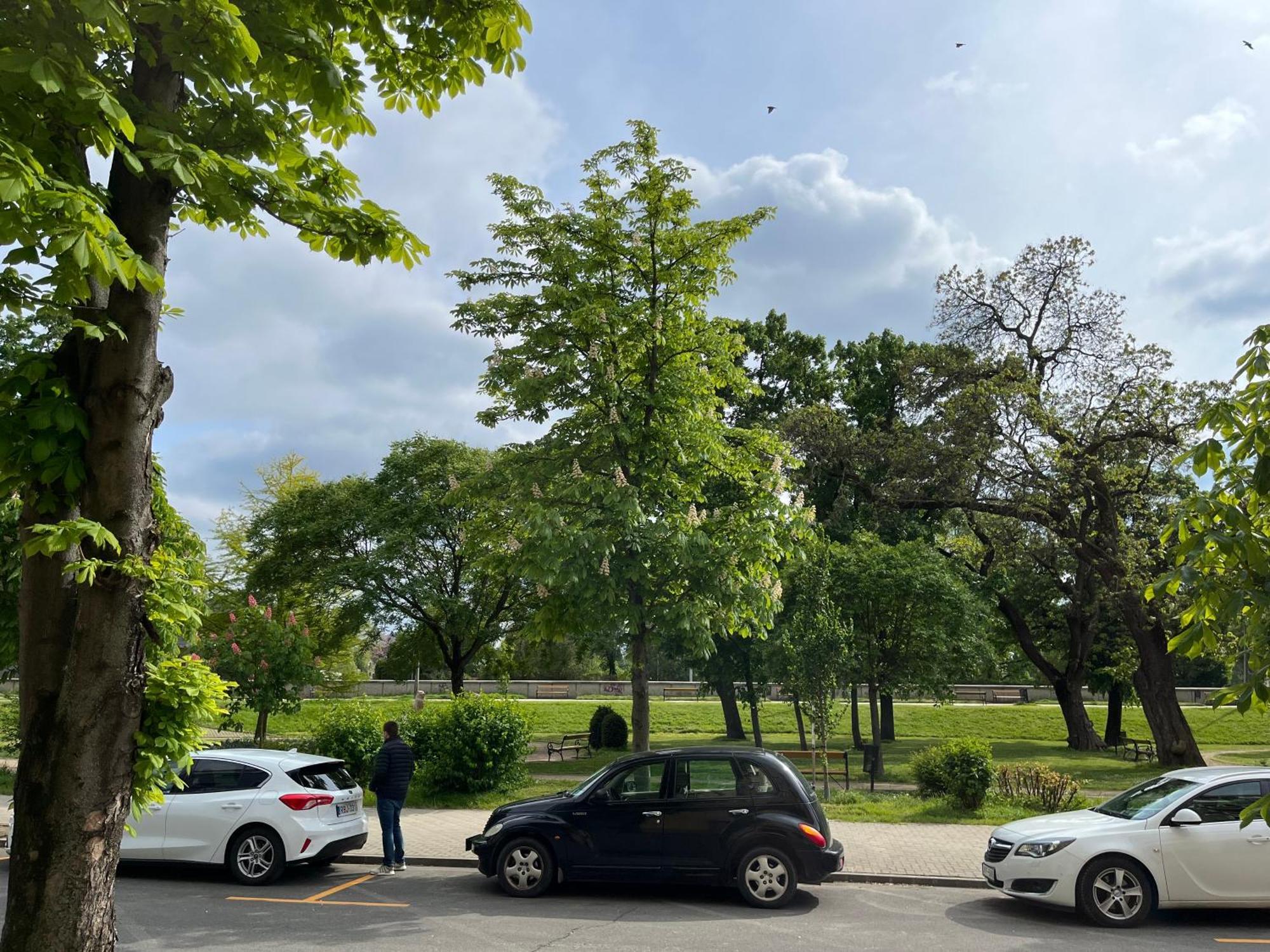 Panorama Apartment Gyor Luaran gambar